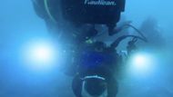 All The Sharks (Image via Netflix)